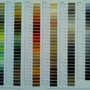 Foto 4 Seralon n.100 5 x 200 mt